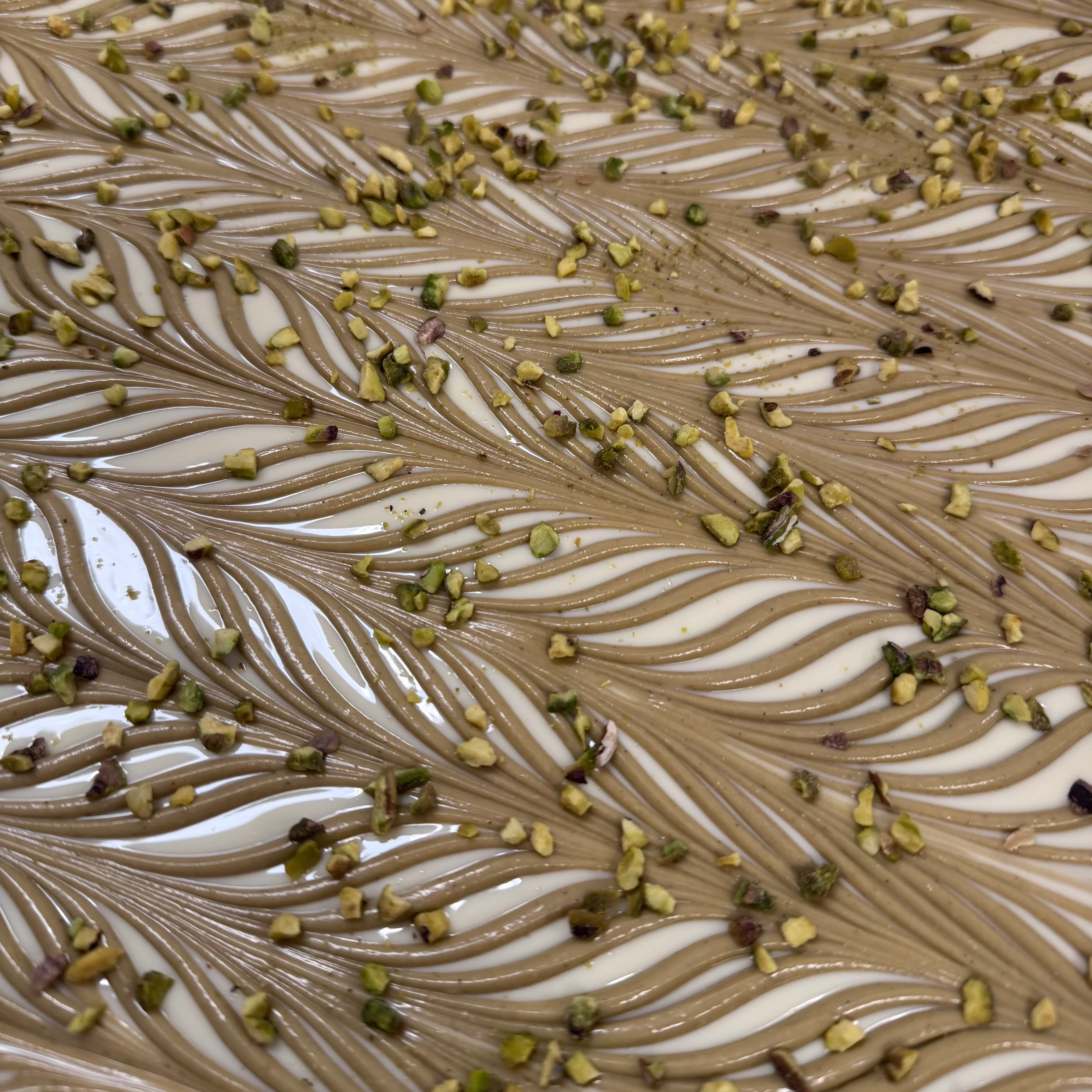 Pistachio Millionaire Blondie